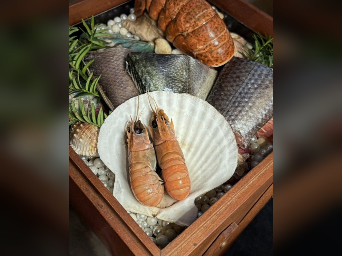 종로 한우 오마카세 — 프라이빗 룸 한우 다이닝