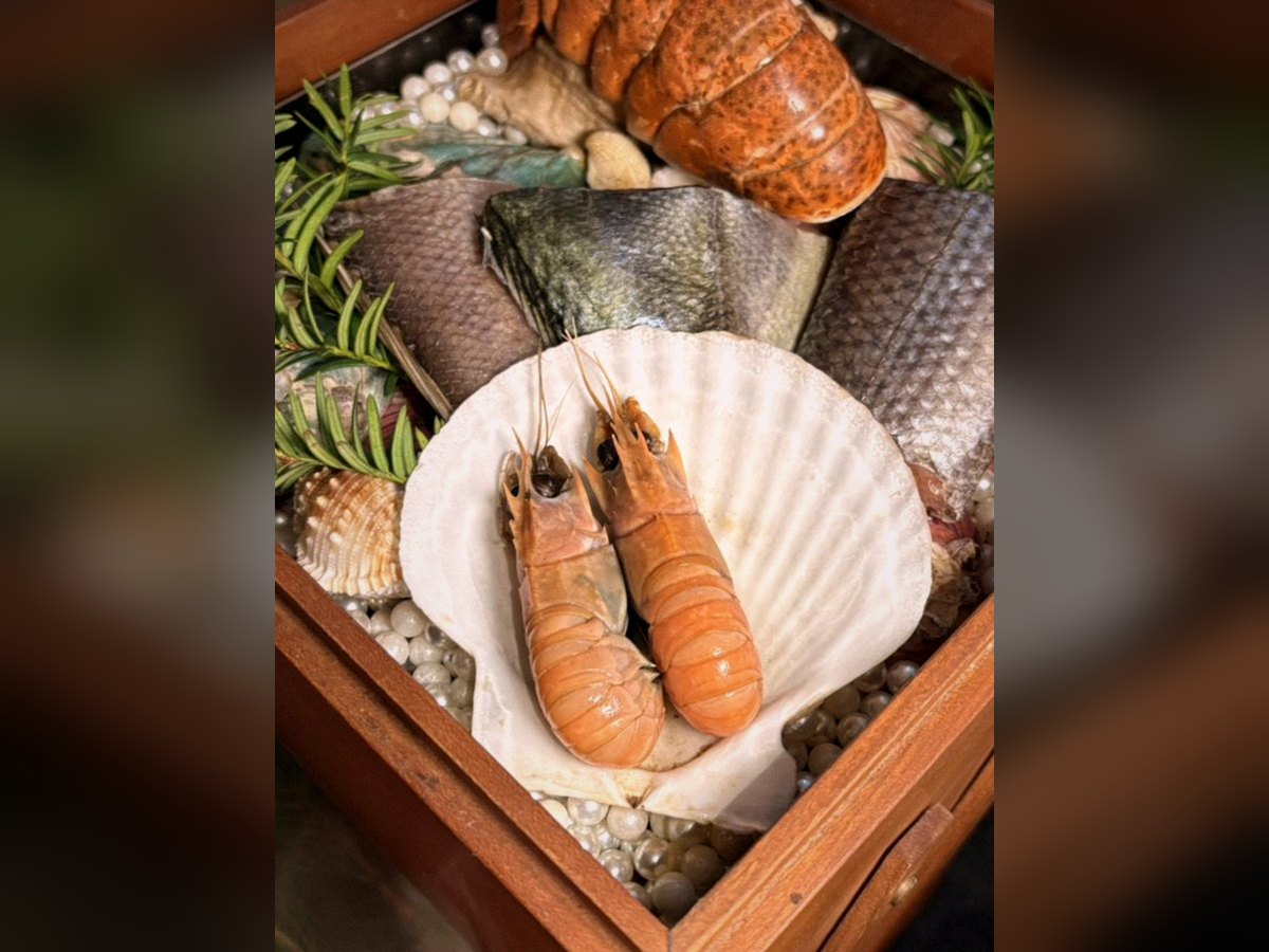 서울역 한우 오마카세 — 프라이빗 룸 한우 다이닝