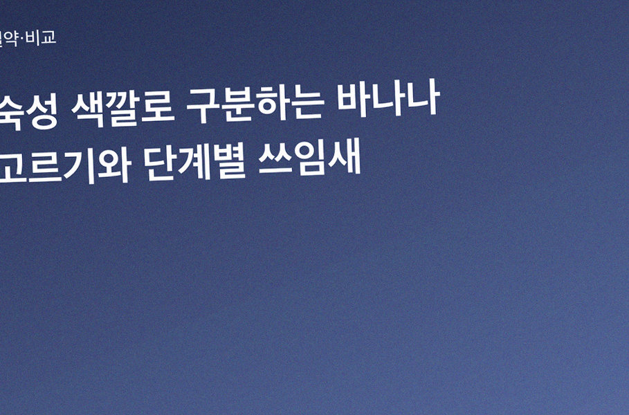 숙성 색깔로 구분하는 바나나 고르기와 단계별 쓰임새
