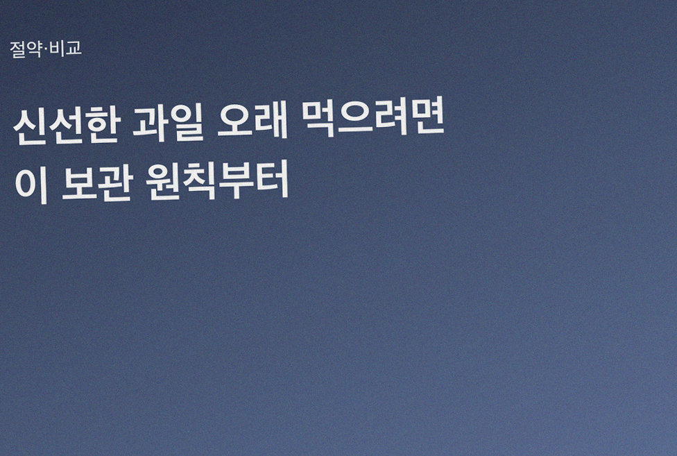신선한 과일 오래 먹으려면 이 보관 원칙부터
