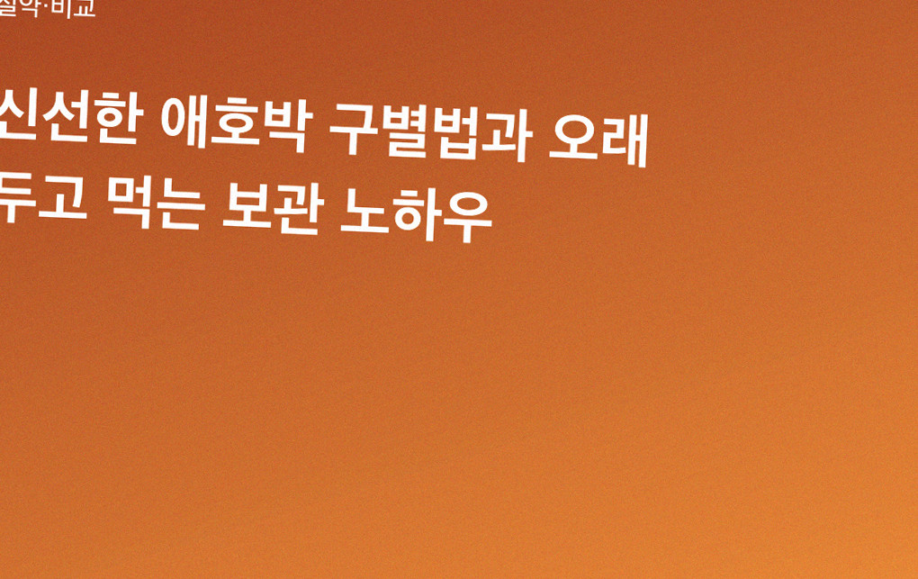 신선한 애호박 구별법과 오래 두고 먹는 보관 노하우