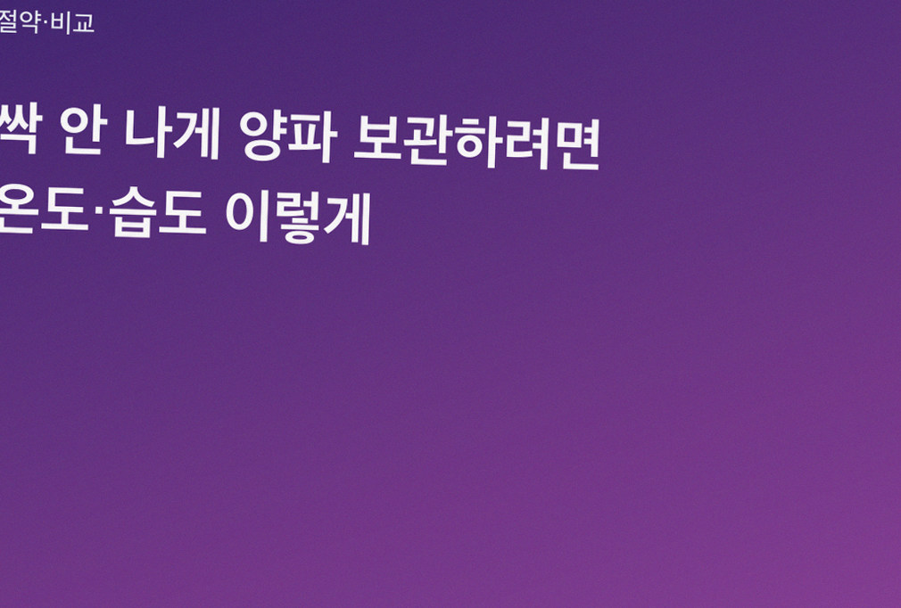 싹 안 나게 양파 보관하려면 온도·습도 이렇게