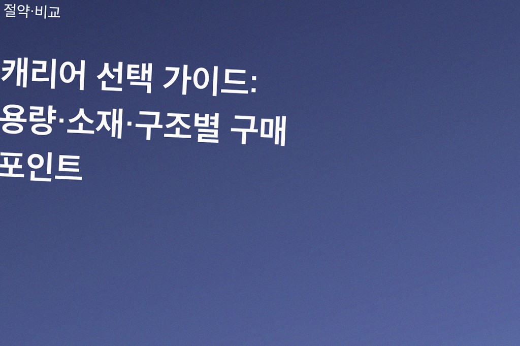 캐리어 선택 가이드: 용량·소재·구조별 구매 포인트