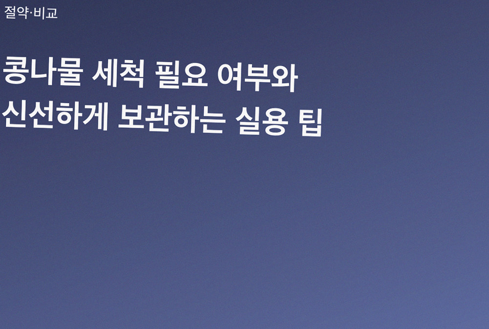 콩나물 세척 필요 여부와 신선하게 보관하는 실용 팁