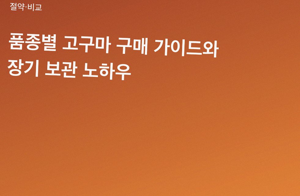 품종별 고구마 구매 가이드와 장기 보관 노하우